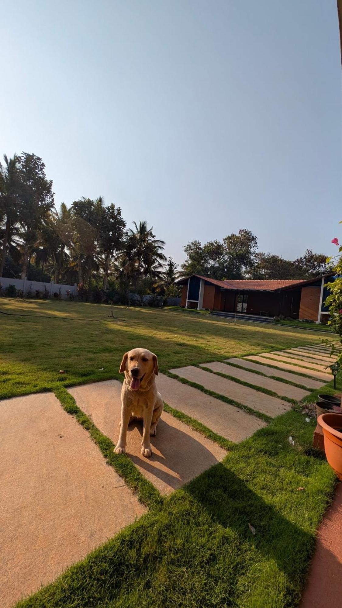 Eeshaavasya Estadia no rancho *