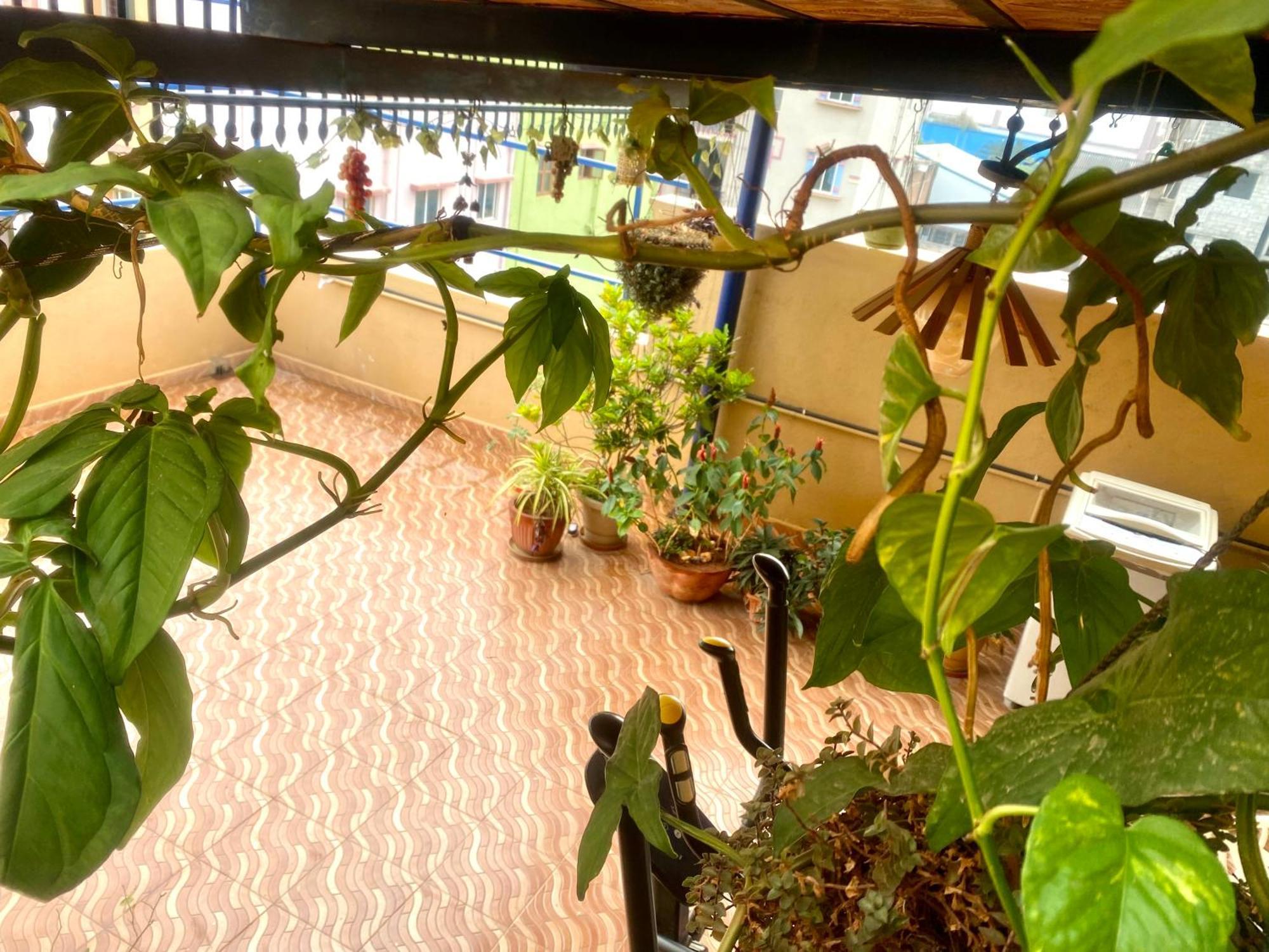 Holiday home Premium Pent House With Hot Bath Tub Near Ecity - Luxe King Size Bed With Large Sitout Area