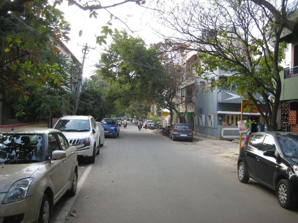 Electric Cats Bed & Breakfast Hostel *