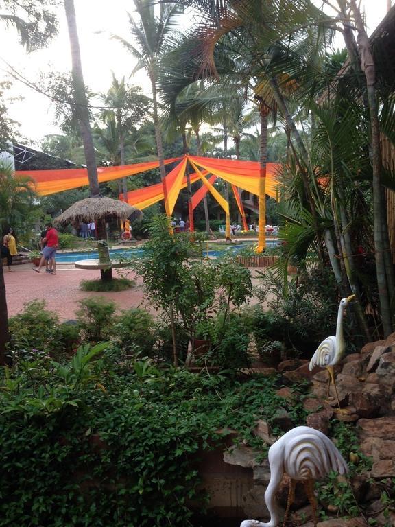 Village Resort 3*