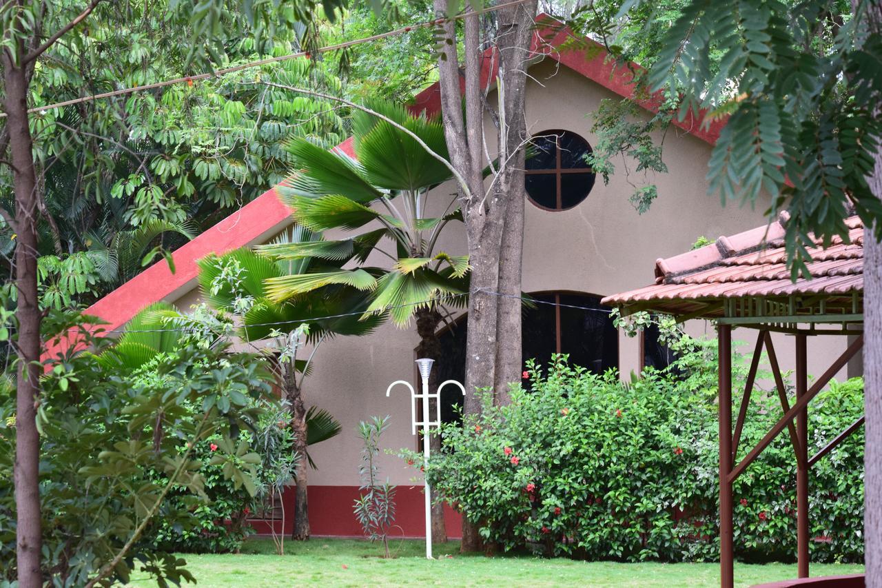 Gold Coins Club & Resort 4*