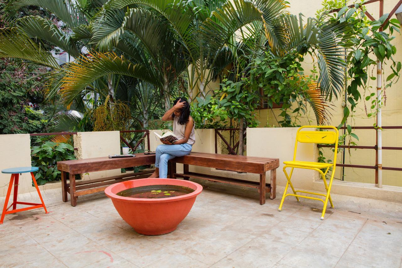 Tribe Theory Startup Koramangala Hostel Bangalore