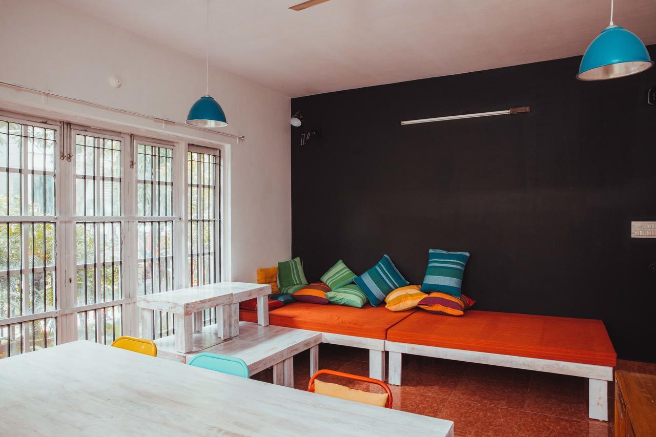 Hostel Tribe Theory Startup Koramangala