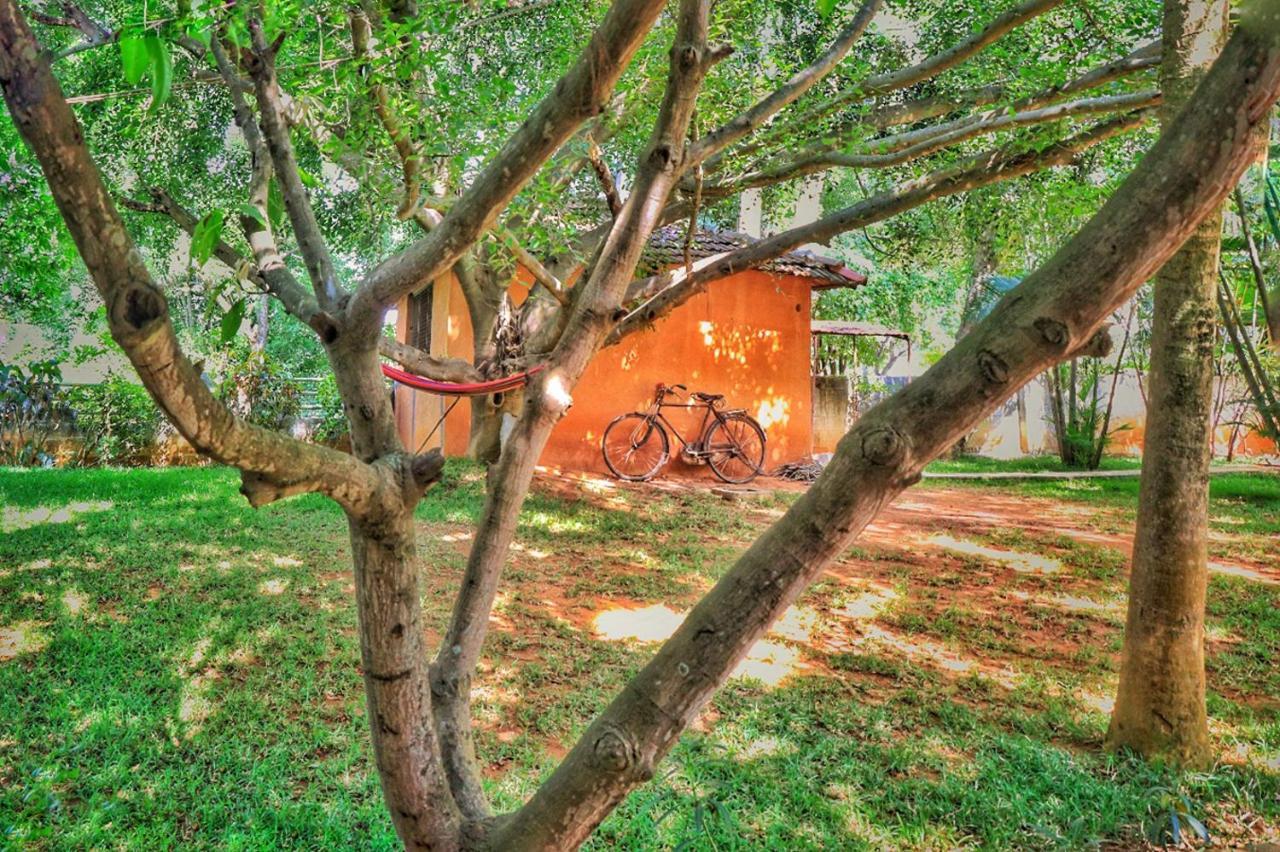 Resort Gold Coins Club & Bangalore