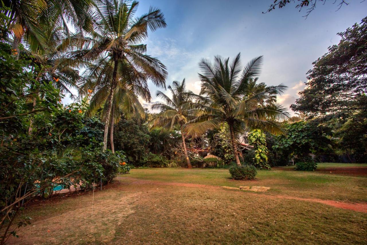 Village Resort 3*