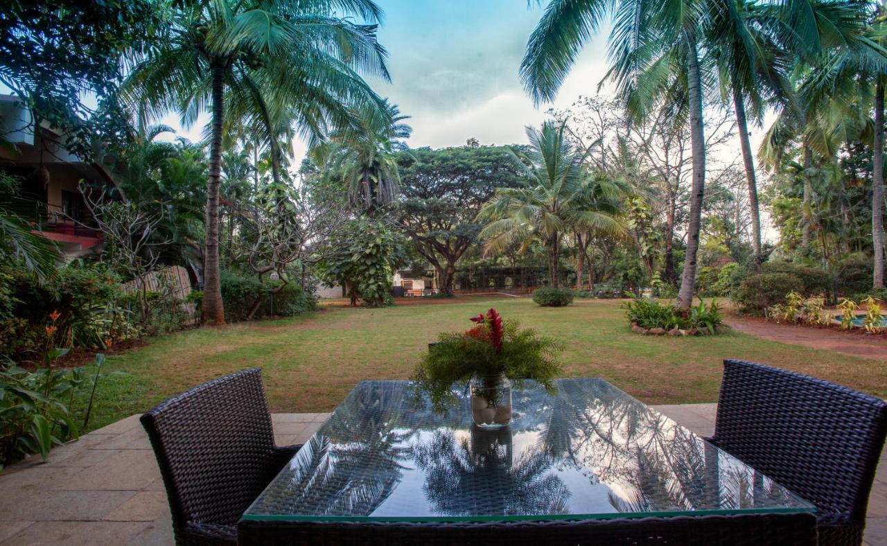 Village Resort 3*