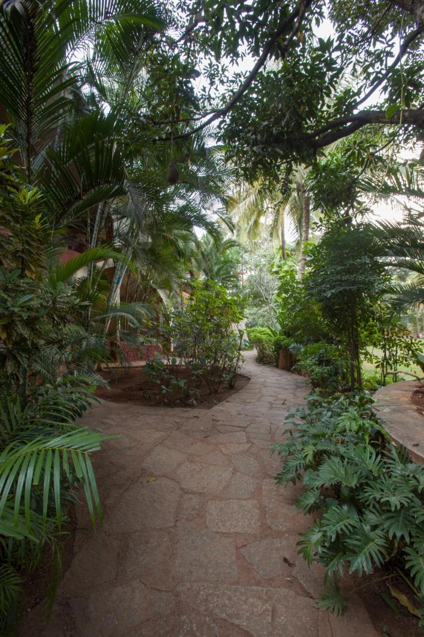 Resort Village Bangalore