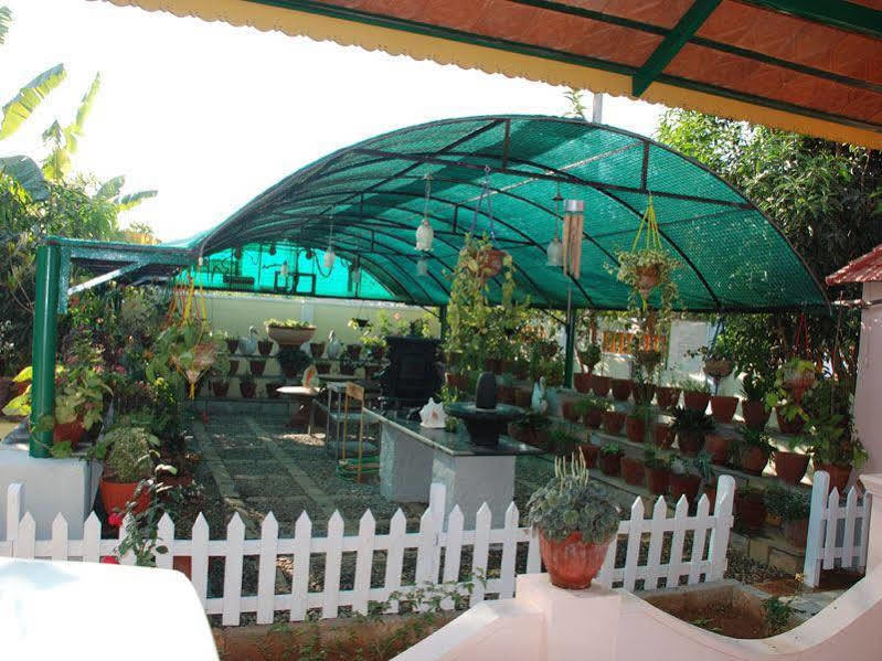 Carmel Homestay