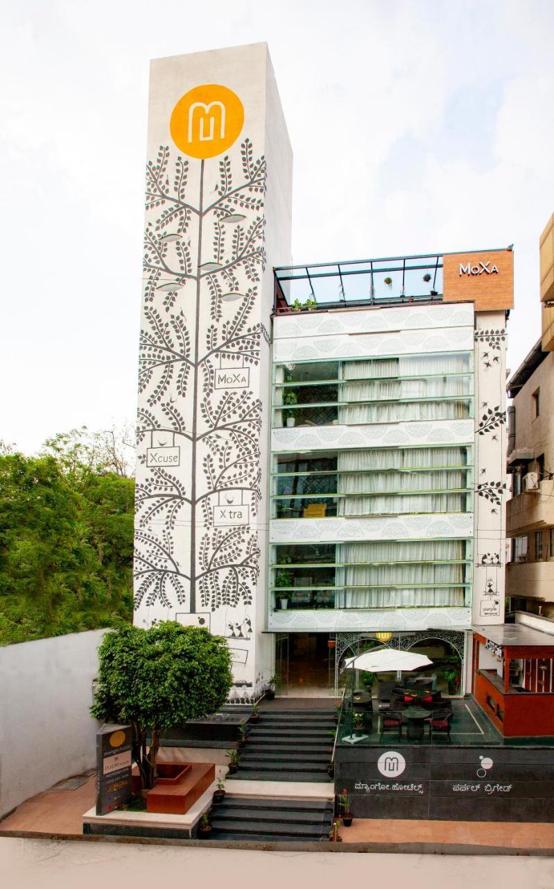 Hotel Mango - Purple Brigade