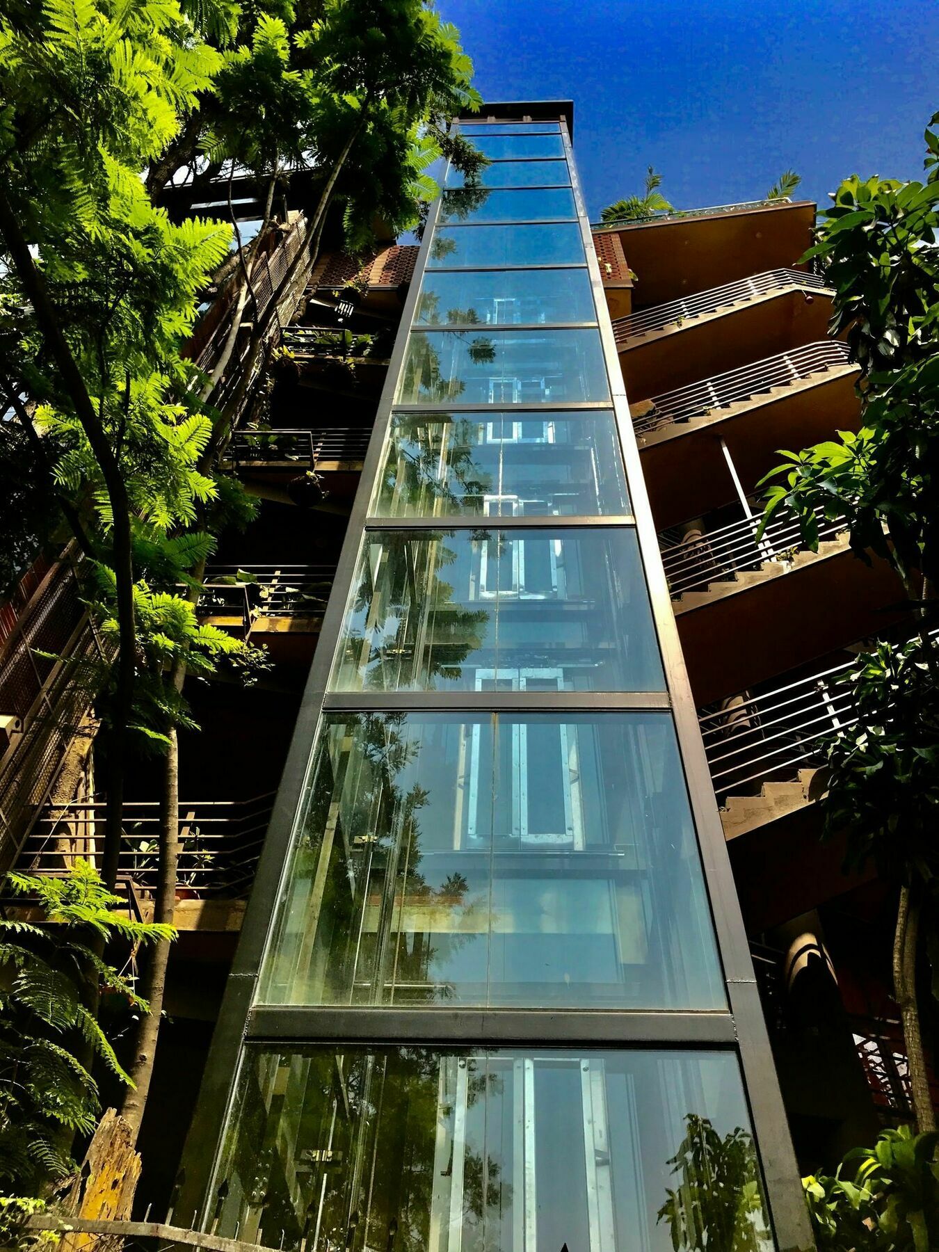 Golden Lotus Boutique Bed & Breakfast Bangalore