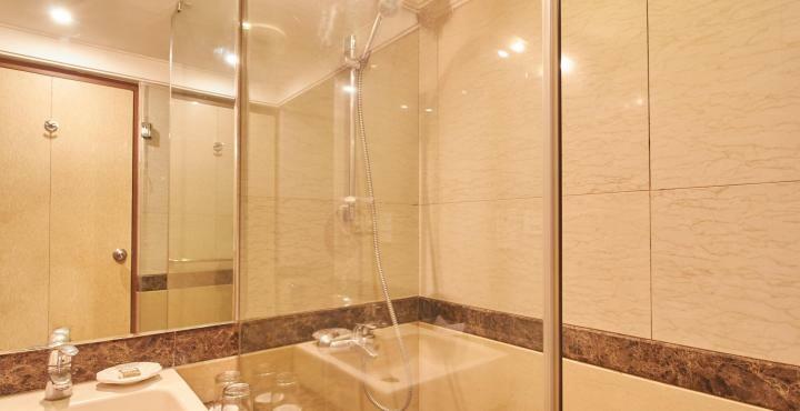 Hotel The Royale Senate , Hebbal 3*