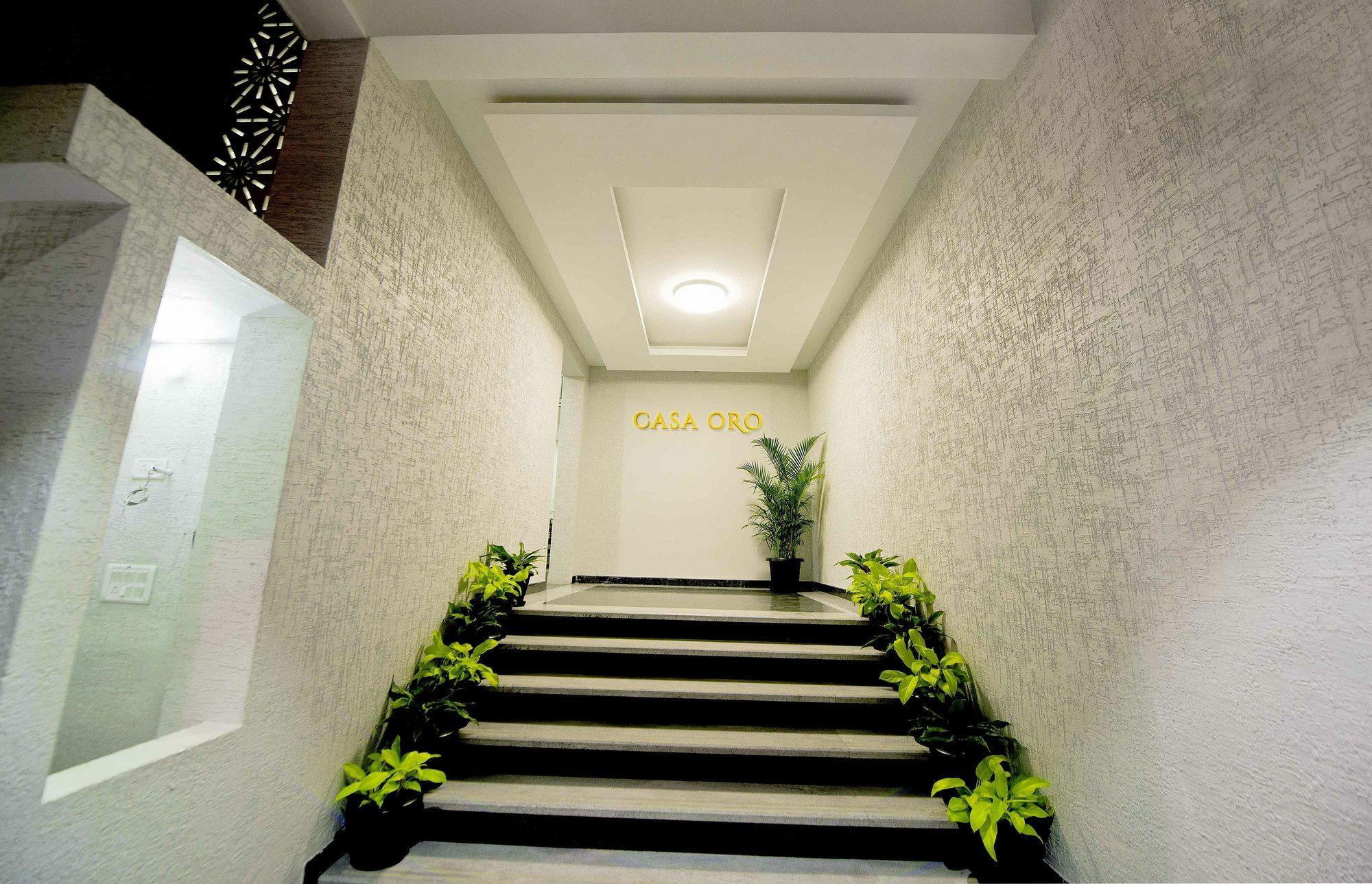 Casa Oro