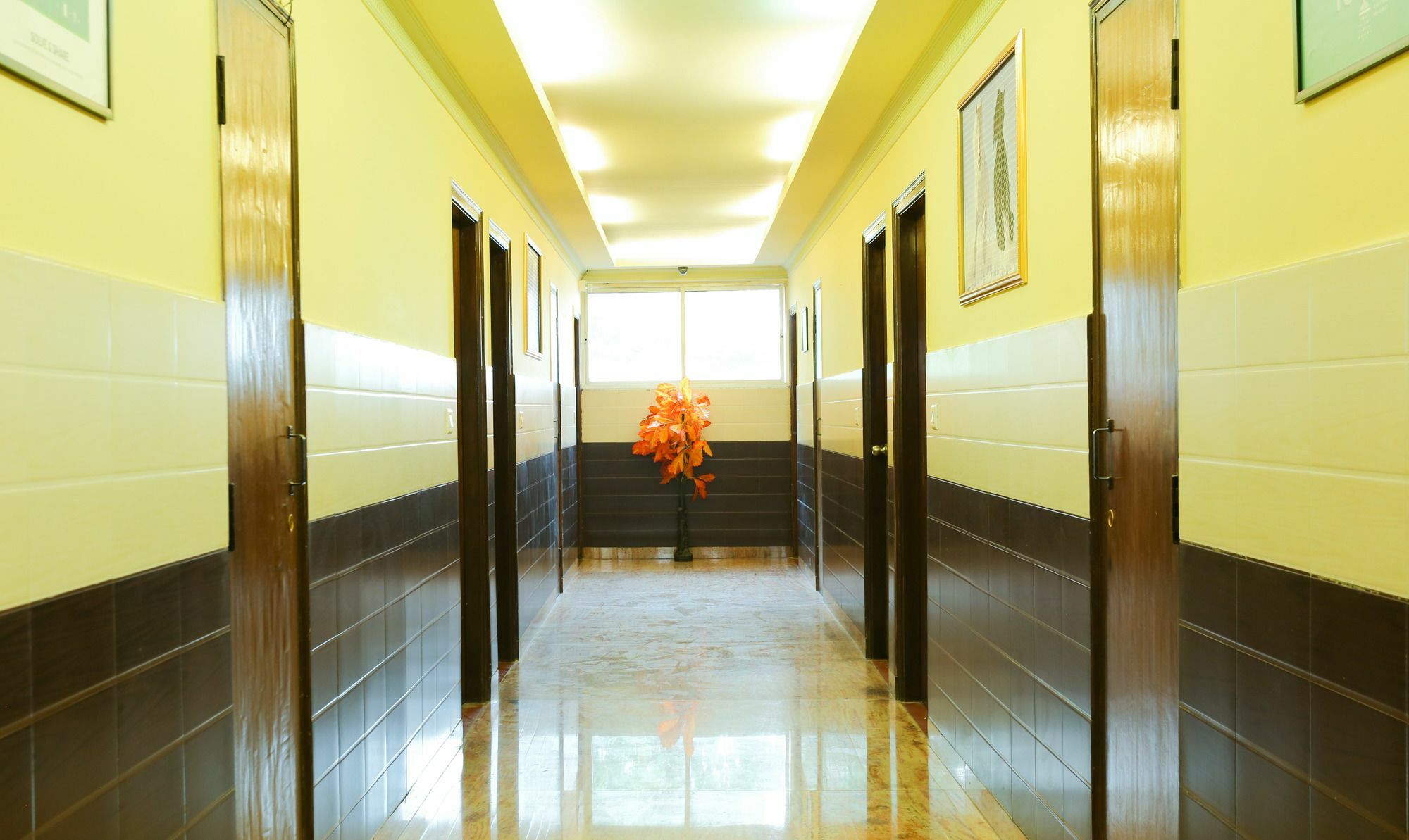 Hotel Treebo Trip Grand Regency Bangalore