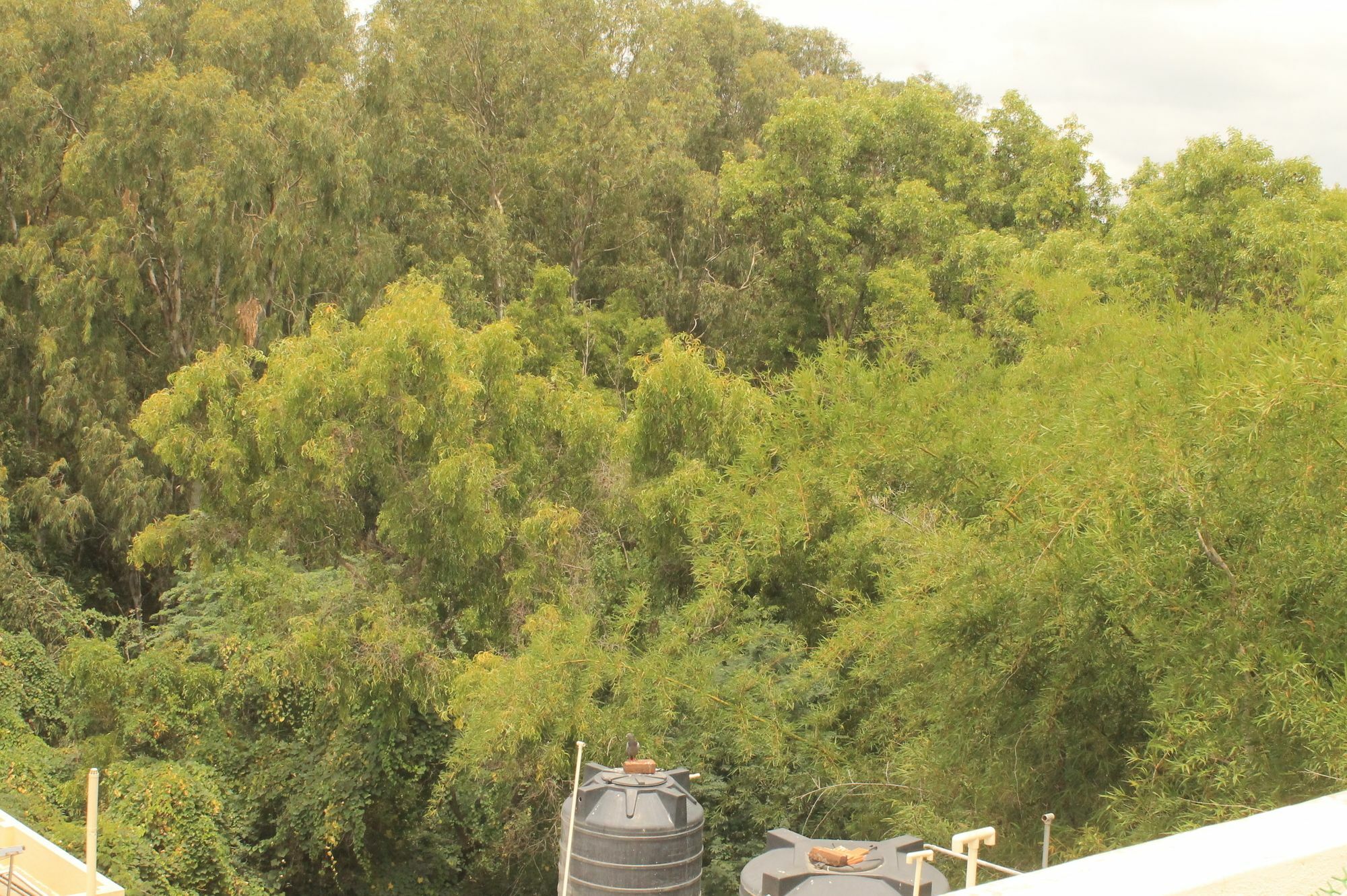 Cozy Ambience Guest house Bangalore