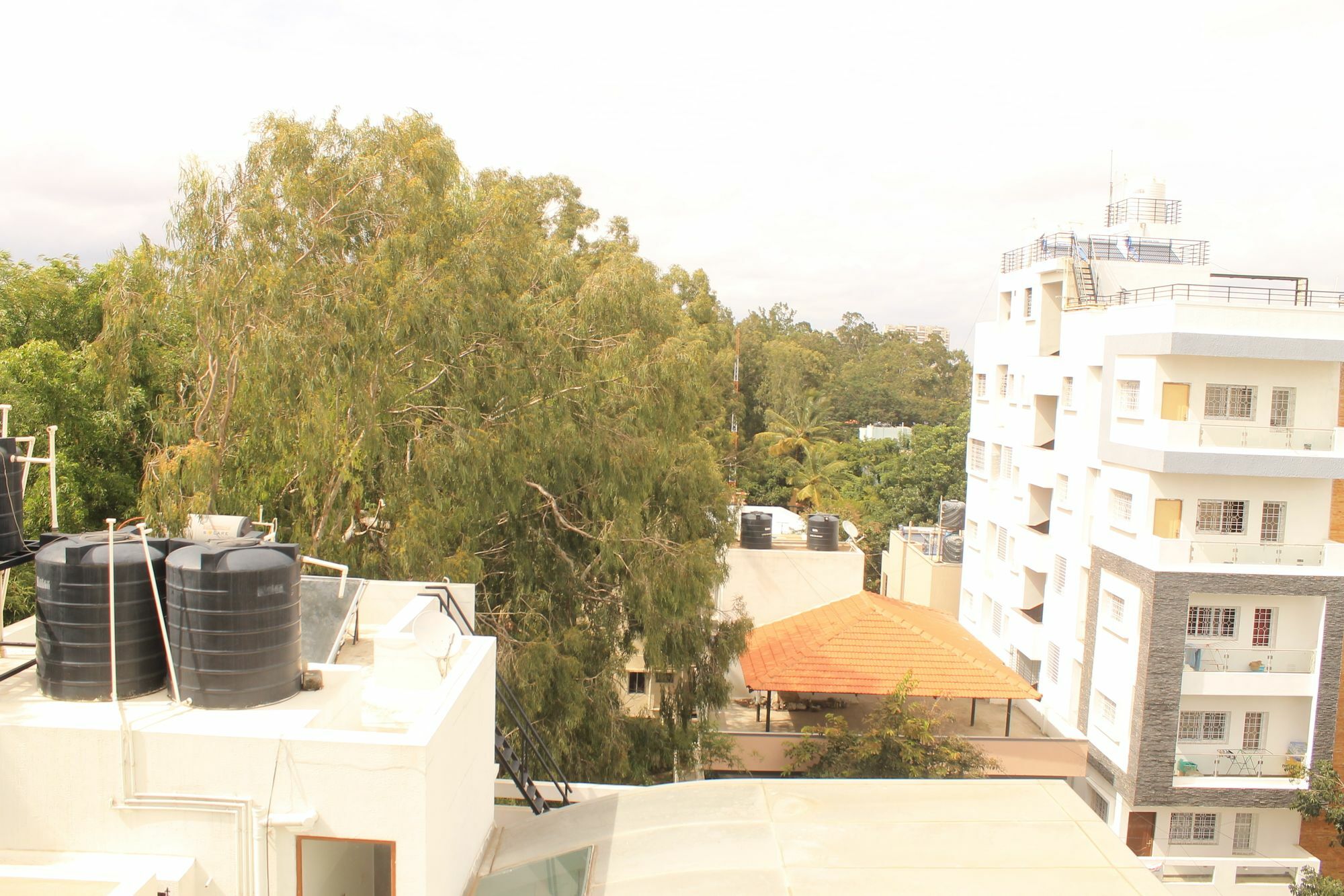 Cozy Ambience Bangalore