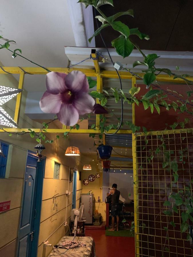 The Little Blue Window Hostel Bangalore