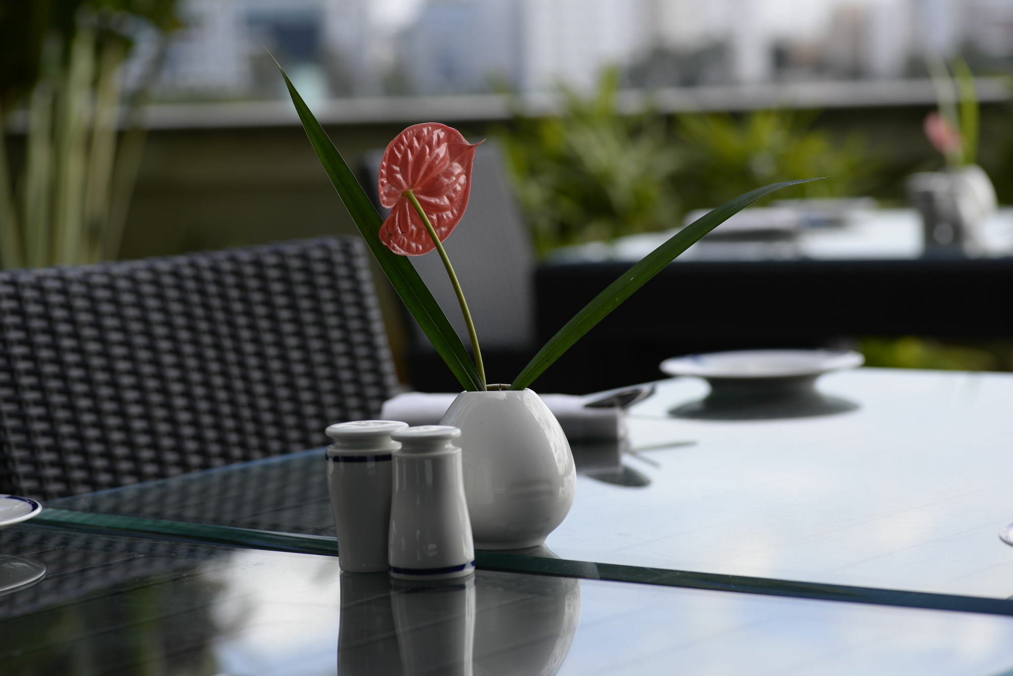 The Zuri Whitefield Bangalore