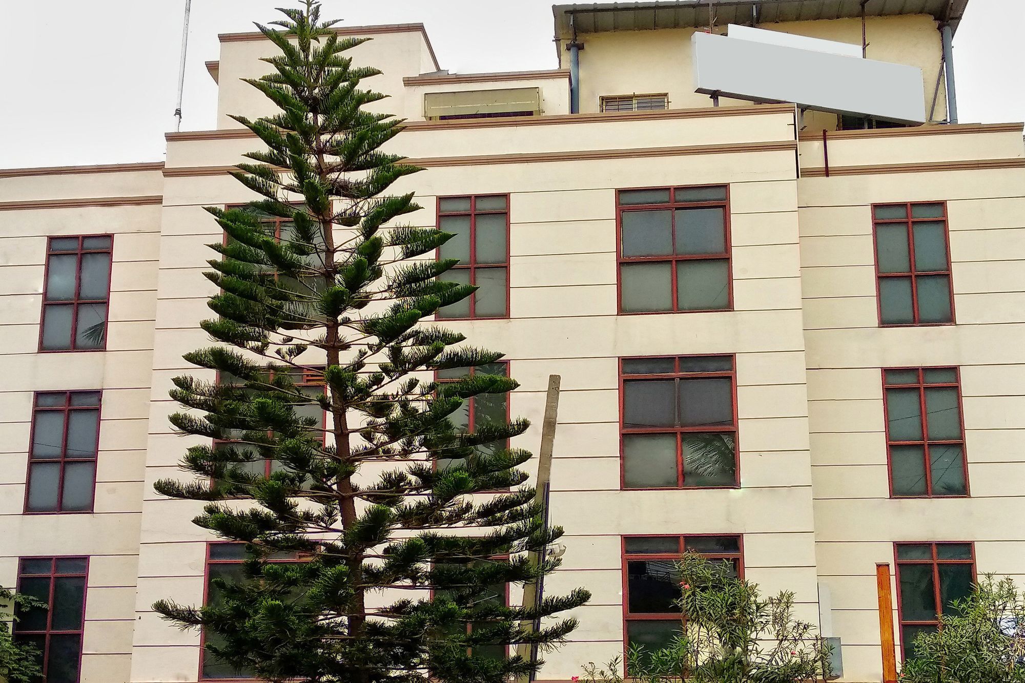Hotel Oyo 539 Pearl Bangalore
