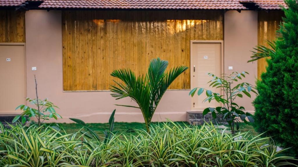 Palms *