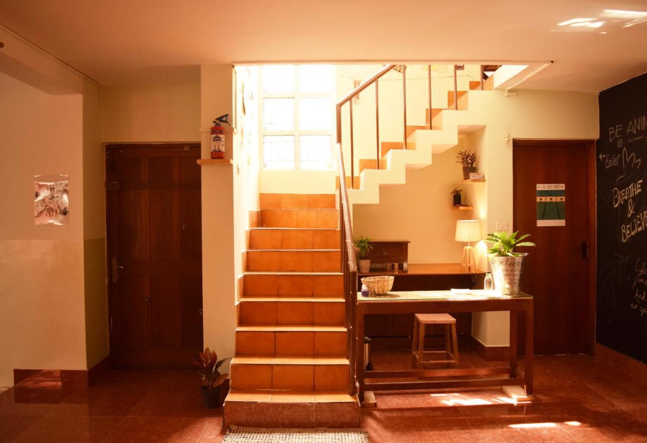 Be Animal Albergue Bangalore