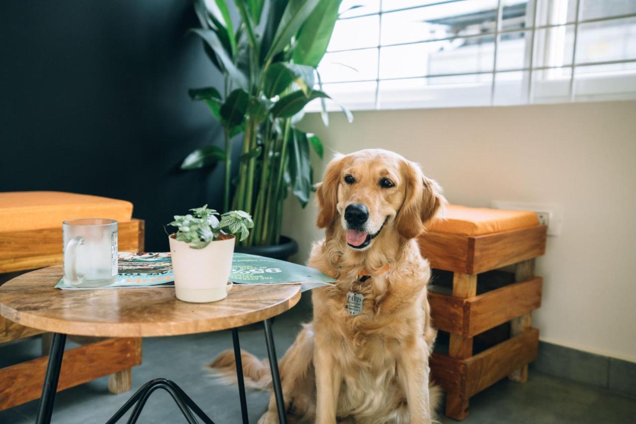 Draper Startup House ,koramangala Albergue