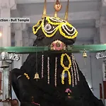 Oyo 10473 Basavanagudi