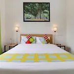 Leva Homes