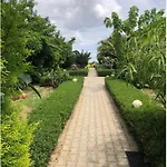 Lush Resorts