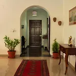 Luho 206
