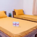 C Suites - Highland