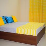 Princess Inn Coliving Pg