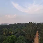 Paradise Living