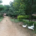Elephant Country Homestay