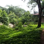 Elephant Country Homestay
