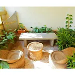 Cynosure Suites