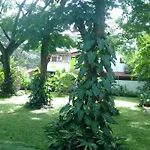 Villa Serena