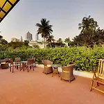 The Bougain Villa