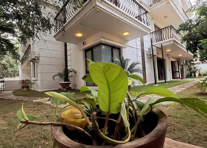 Elegant 3Bhk Flat With Garden