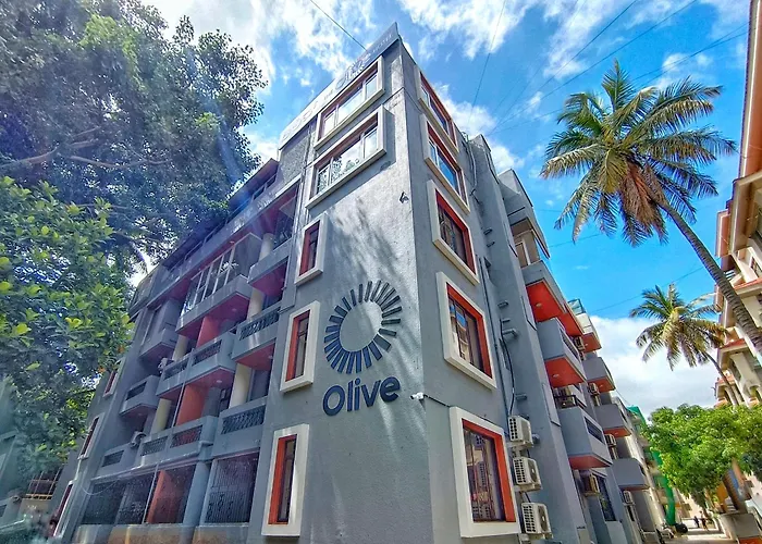Olive Hotel Palace Road By Embassy Group
