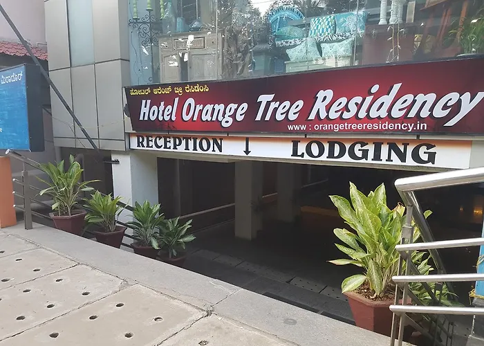 Orange Tree Residency