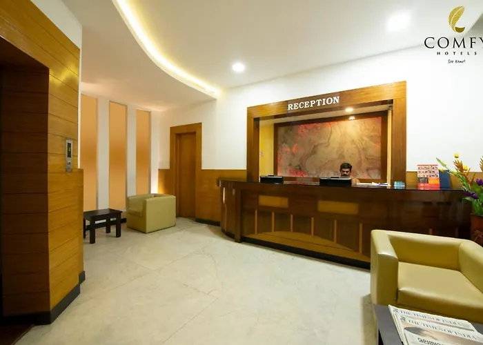 Comfy Luxury Hotel