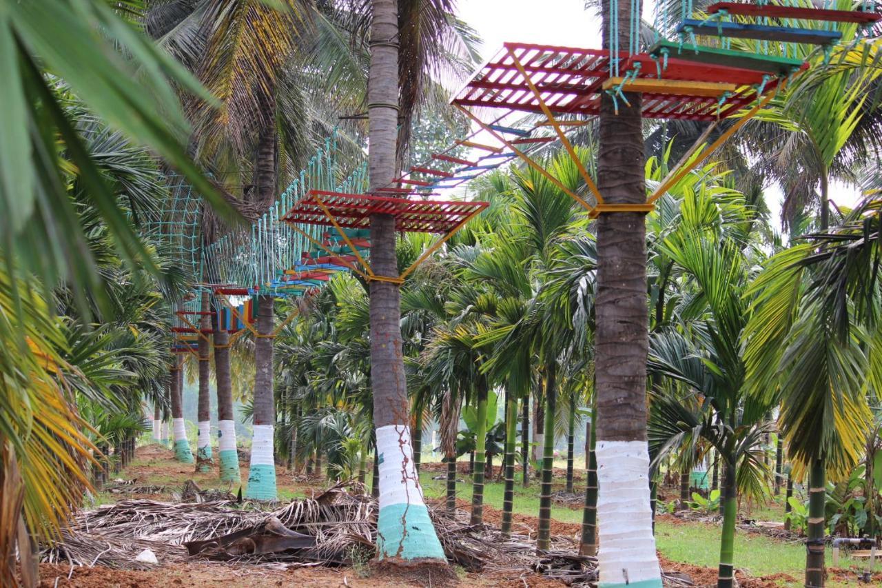 Coco Wood Retreat Bangalore