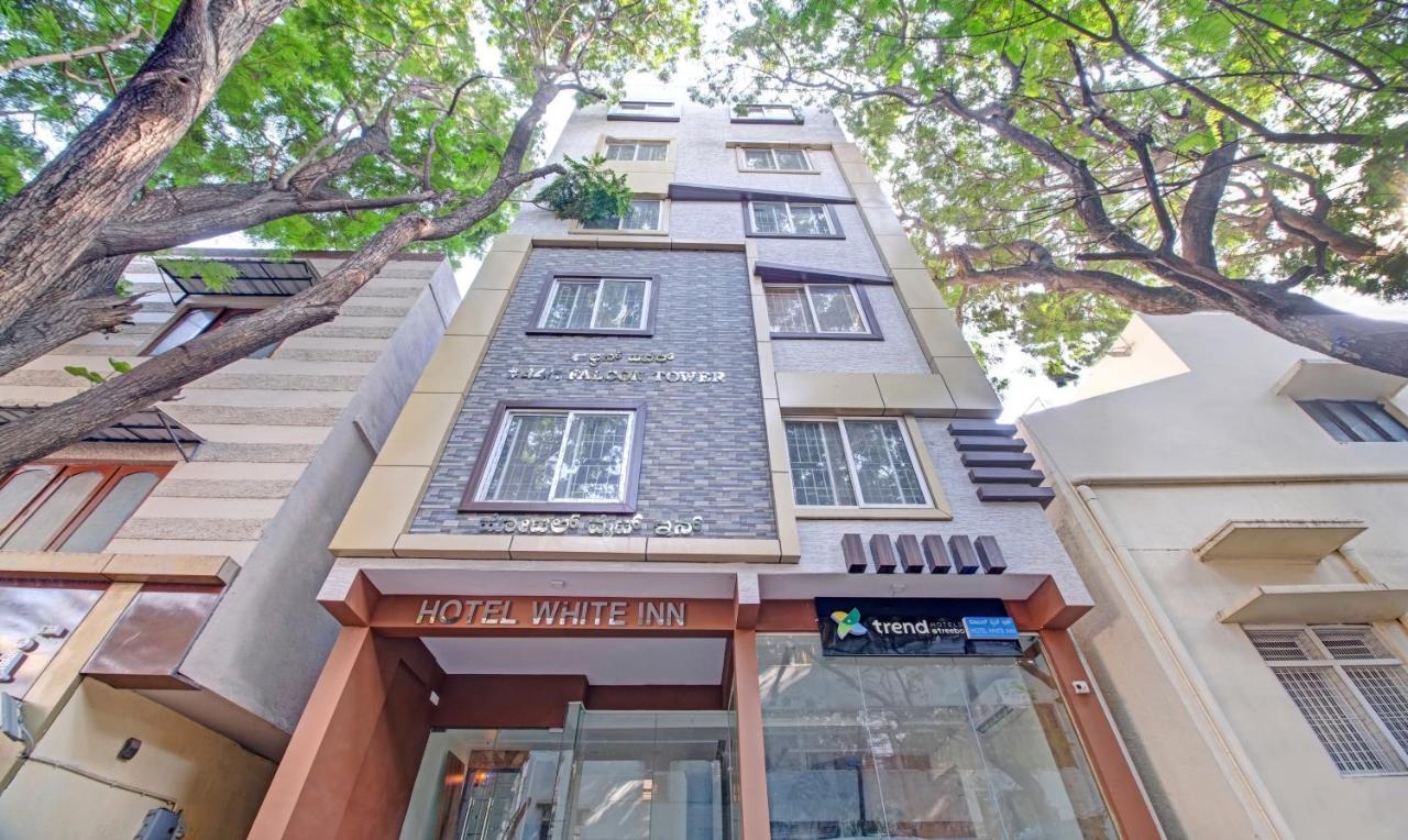 Hotel Treebo White 3*