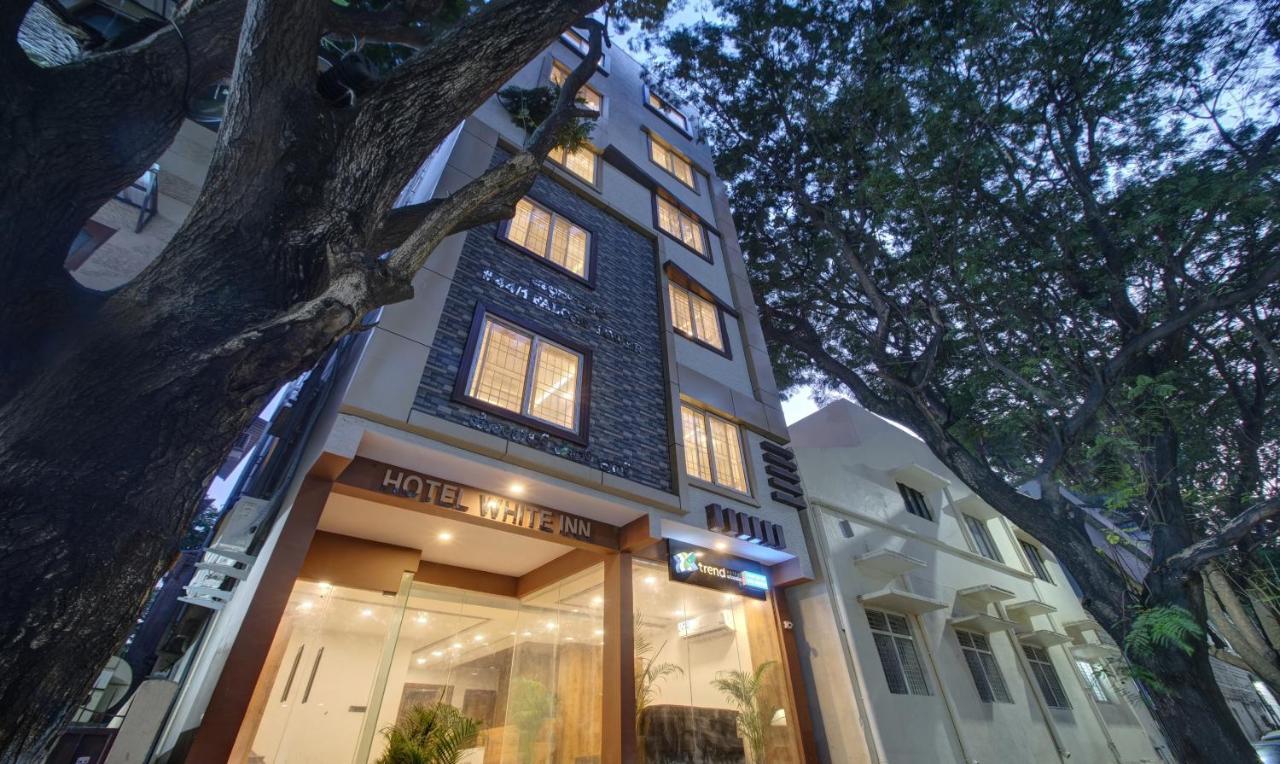 Hotel Treebo White 3*