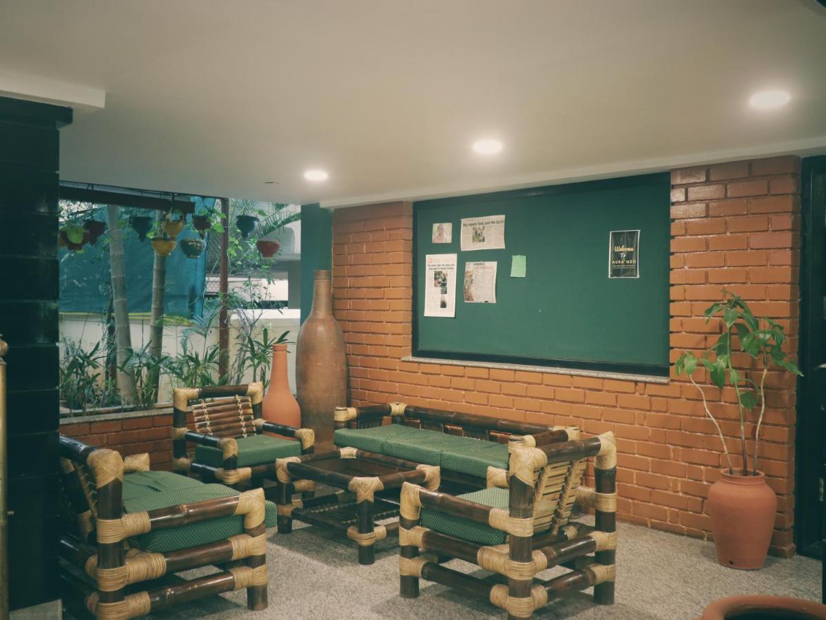 The Green Path Eco