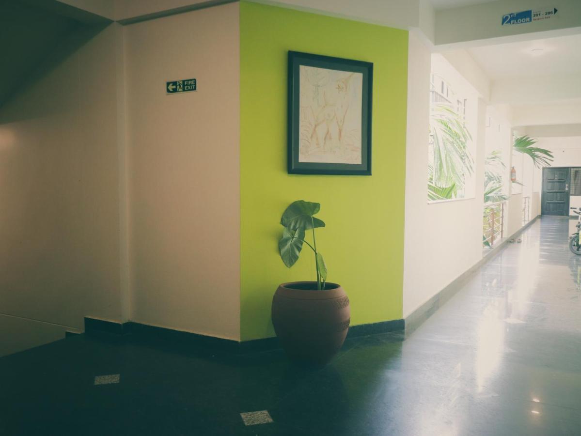 The Green Path Eco 3*