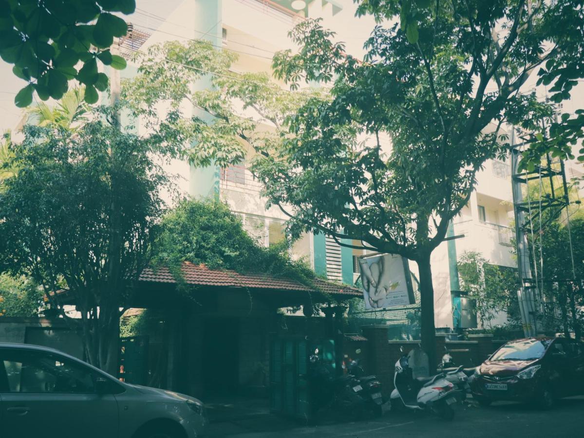 The Green Path Eco 3*