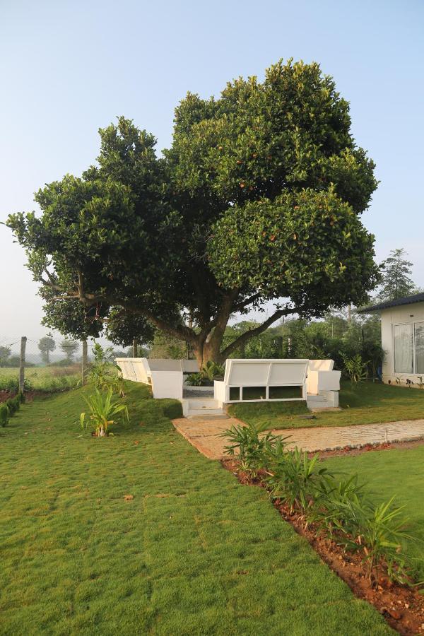 Lush Resorts Holiday home *
