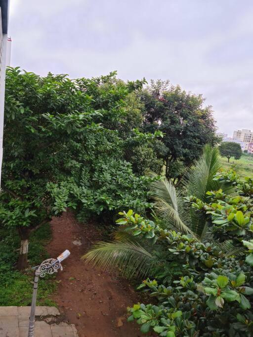 Apartamento Saashivnest Homestay