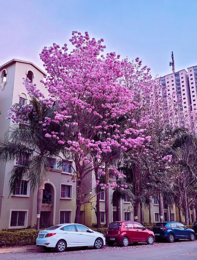 Apartamento Gm Infinite Phase 1 *